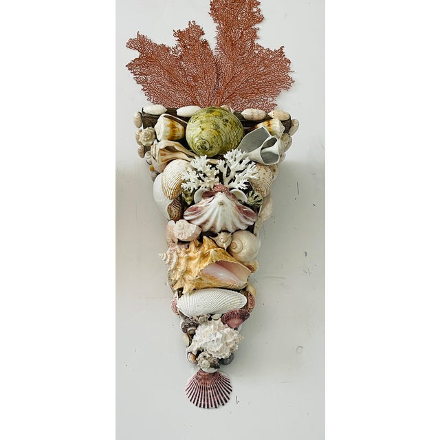 Impressive 20” large sea encrusted wall brackets with large shells, Red Sea whip branches On top.