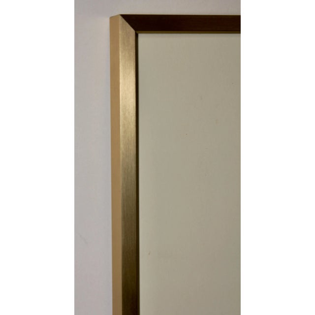 John Gould (1804-1881), Erythrosterna Parva, Hand Colored Lithograph, 1862-1873 For Sale - Image 9 of 10