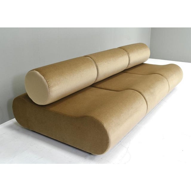Corbi Lounge Chairs in Mohair by Klaus Uredat for Cor, Germany, 1969, Set of 2 For Sale - Image 14 of 18