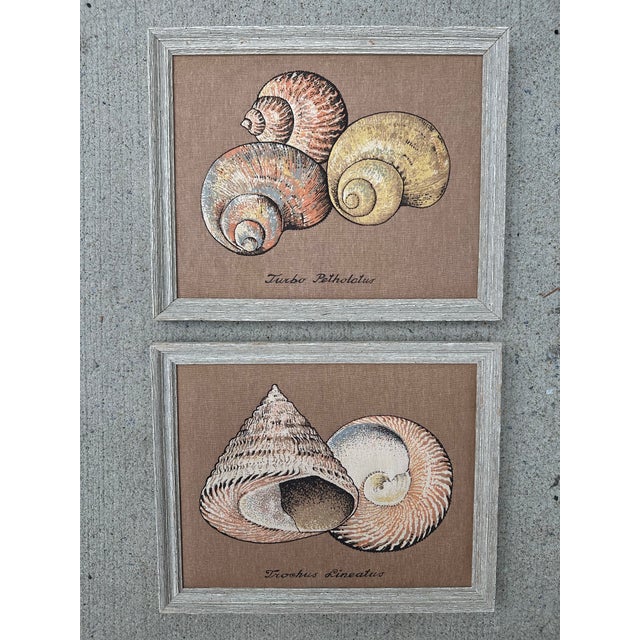 1980s Textile Art With Shell Designs, a Set of Two, Framed For Sale - Image 5 of 6