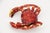 1900s Life-Size Crab Bordallo Pinheiro Portuguese Palissy Ware For Sale - Image 6 of 14