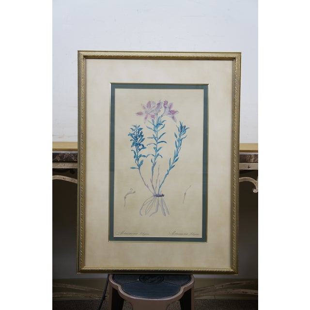 Late 20th Century Bombay Company Botanical Flower Prints Iris Lily Alstromeria 30" - Set of 4 For Sale - Image 4 of 16