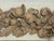 Antique French Architectural Carved Wood Fragment For Sale In San Francisco - Image 6 of 17