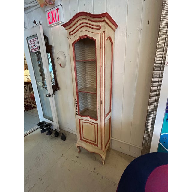 Charming painted French country tall narrow etagere cabinet with screen in paneled door, cabriole legs and great storage...