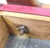 Vintage Red Beech Poufs, Italy, 1940s, Set of 2 For Sale - Image 3 of 9