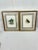 Antique Framed Bird Prints For Sale - Image 11 of 11