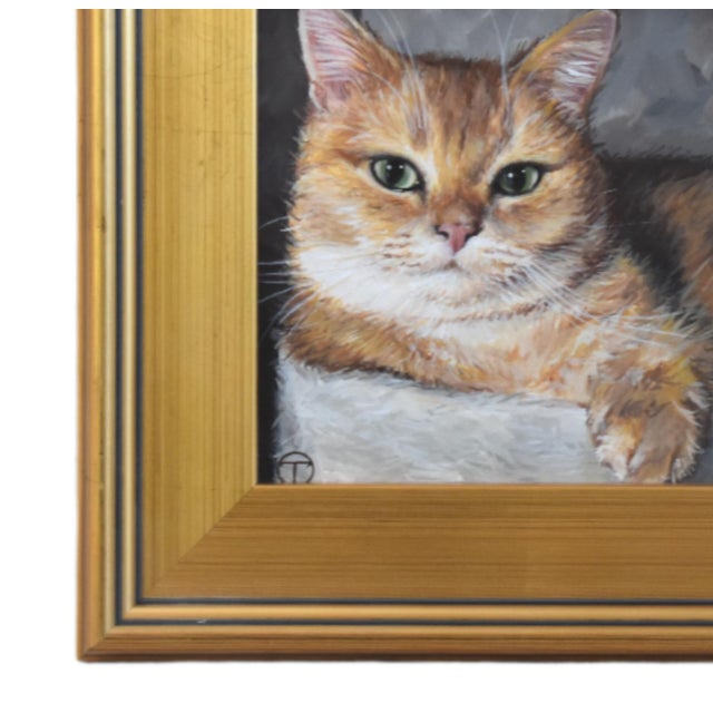 Orange cat kitten portrait study, acrylic painting on artist panel. Included are the antiqued gold wood frame and hanging...