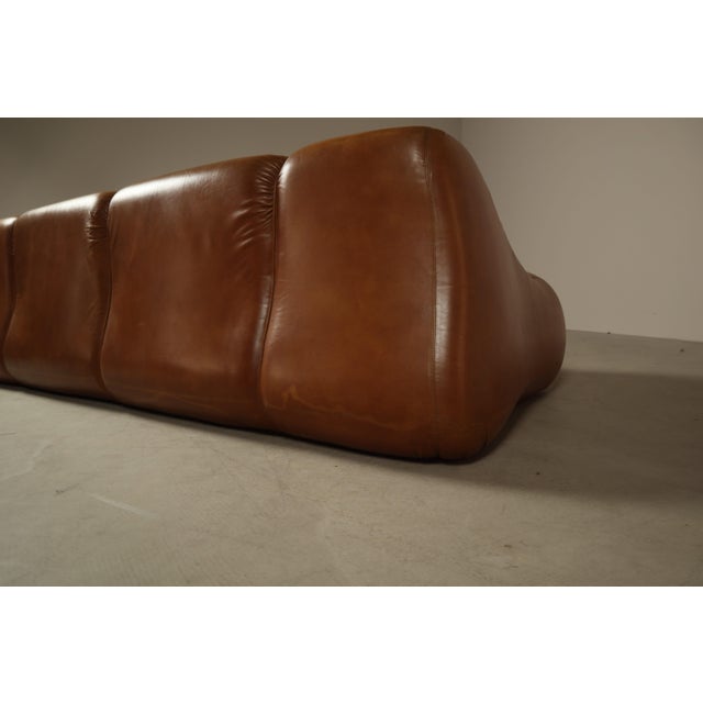 Ciuingam Sofa from De Pas, Durbino & Lomazzi, 1967 For Sale - Image 13 of 16