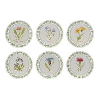 Round Framed Encyclopedia Floral Print (Set of 6) For Sale