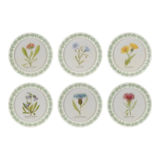 Round Framed Encyclopedia Floral Print (Set of 6) For Sale