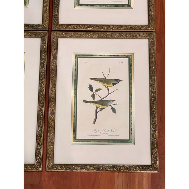 Art Deco Mid 20th Century Audubon Birds of America (First Edition Royal Octavo) | Antique Prints of Rare Songbird Collection- Set of 4, Framed For Sale - Image 3 of 12