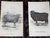 Late 19th Century Authentic Antique 19th Century Sheep Stone Lithographs - Set of 12 For Sale - Image 5 of 9