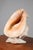 Vintage Shell Lamp For Sale - Image 3 of 10