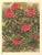 This is a 1945 botanical ;ithograph print that was printed in Switzerland. It is a watercolor, numbered, and signed plate...