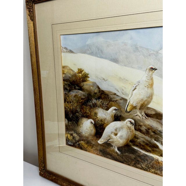 English Ornithology Watercolor Highland Moors Wildlife Covey of Ptarmigan Game Birds by Neil Cox For Sale - Image 3 of 12