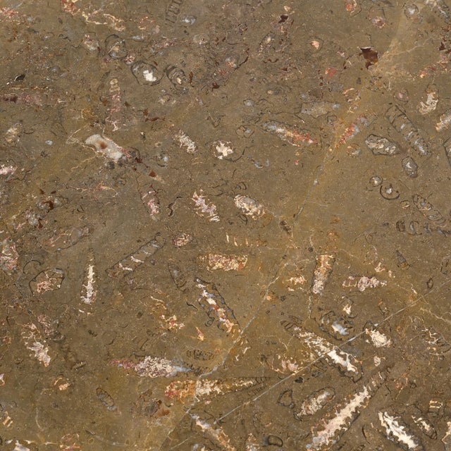 Fossile Nesting Tables, Switzerland, 1970, Set of 3 For Sale - Image 12 of 17