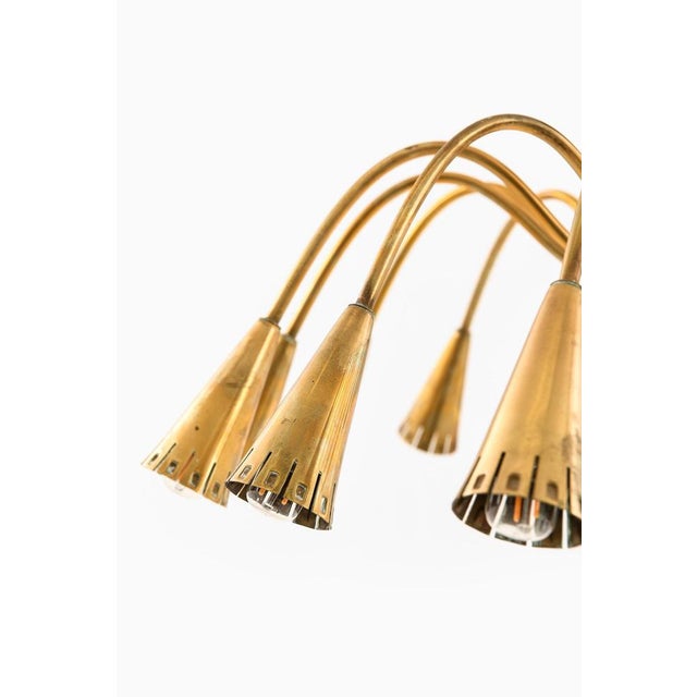 Ceiling Lamp with Conical Brass Shade from Harald Notini, 1950s For Sale - Image 6 of 10