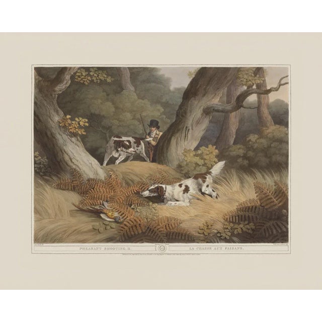 Pheasant Shooting 2- Giclee Print From British Field Sports For Sale