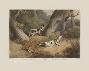 Pheasant Shooting 2- Giclee Print From British Field Sports