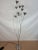 Harco Loor Floor Lamp Stunning floor lamp by Harco Loor Design. The lamp has steel curved branches with mesh flower style...