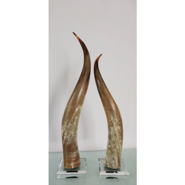 1980s Vintage Texas Longhorns Mounted on Acrylic - a Pair For Sale - Image 5 of 8