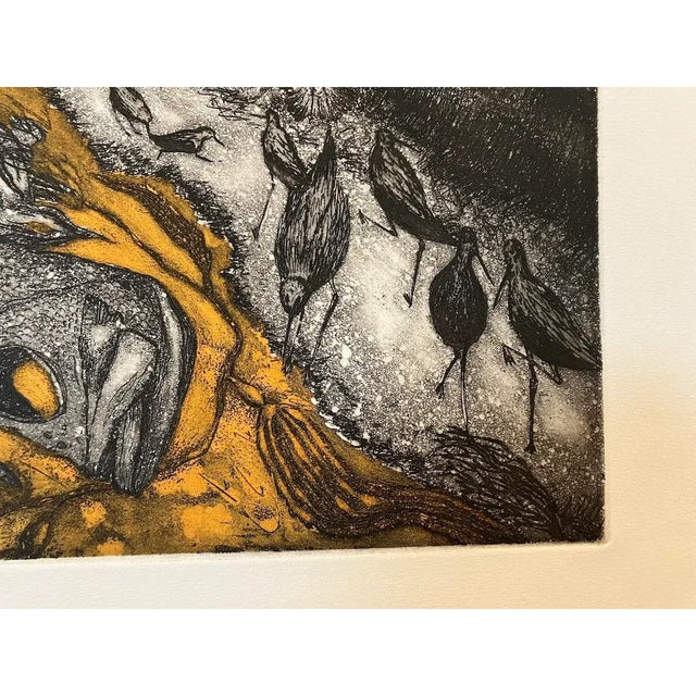 Vintage Arnold Grossman Etching W/ Aquatint "California Shorebirds at Low Tide, C. 1970s For Sale In Reno/Lake Tahoe - Image 6 of 10