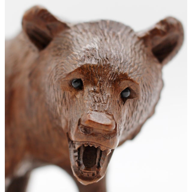 Early 20th Century Circa 1900 Swiss Small-Medium Size Strolling Black Forest Bear For Sale - Image 5 of 7