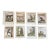 Set of Eight Authentic 19th Century Buffon Color Engravings of Different Monkeys. For Sale
