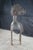 Gray Monumental Baga Nimba Guinea African Tribal Shoulder Mask Headdress 71" For Sale - Image 8 of 13