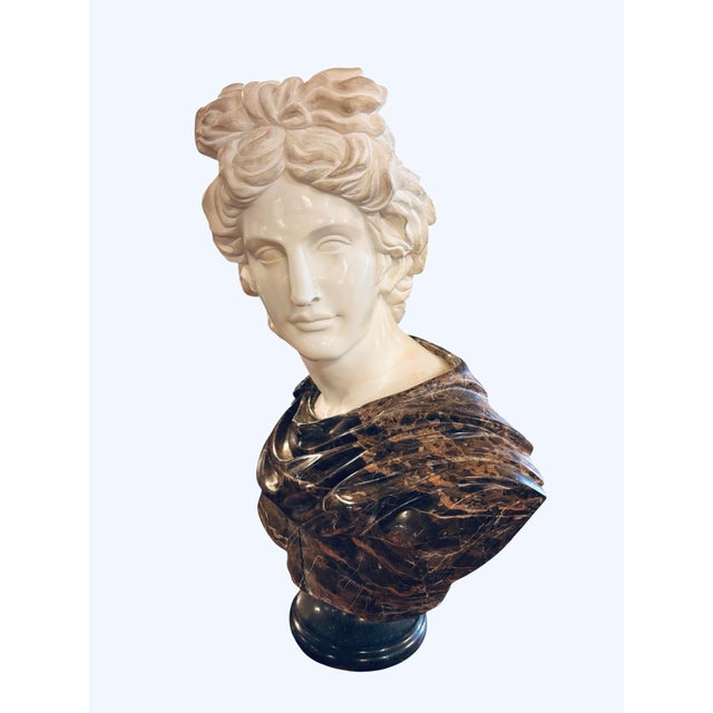 Striking large-scale Apollo Belvedere bust rendered in a dramatic combination of polished, textured and veined marbles....