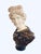Striking large-scale Apollo Belvedere bust rendered in a dramatic combination of polished, textured and veined marbles....