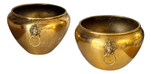 French Brass Cache-Pots with Lion Head Ornaments and Ring Handles, 1950s, Set of 2