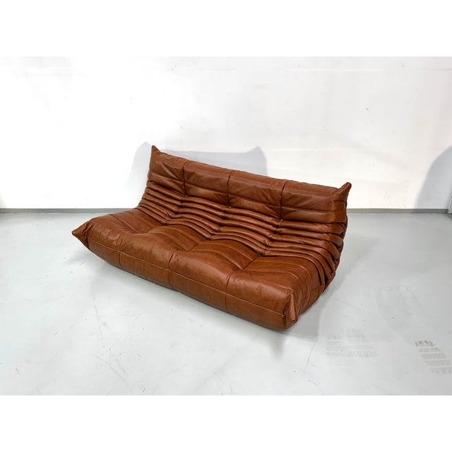Brown French Togo Three-Seater Sofa in Cognac Cow Leather by Michel Ducaroy for Ligne Roset For Sale - Image 8 of 15