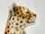 1970s 1970's Italian Ceramic Baby Leopard For Sale - Image 5 of 12