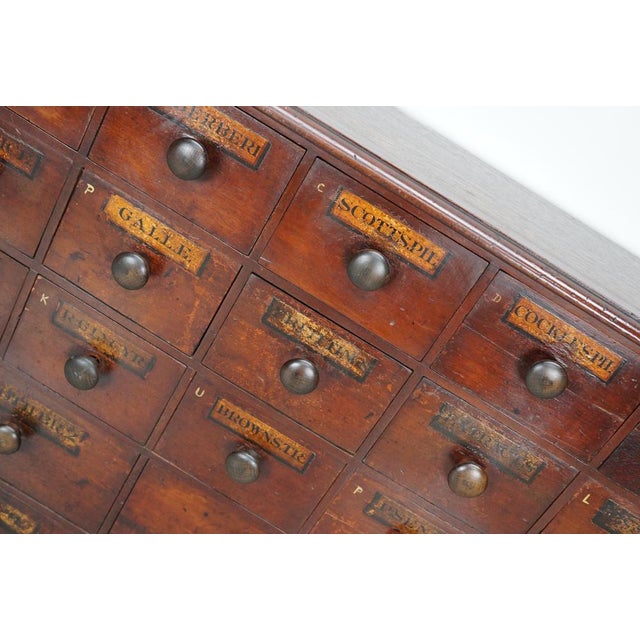19th Century Hardwood Apothecary Cabinet, England For Sale - Image 5 of 18