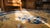 1920s Early 20th Century Chinese Silk Carpet For Sale - Image 5 of 7