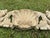 1970s Vintage 64 Inch Baroque Overdoor Wall Pediment Large Shell Scroll Frieze Header For Sale - Image 12 of 17
