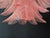 Italian Murano Six-Tier Felci Glass Chandelier with 36 Pink Glasses For Sale - Image 16 of 18