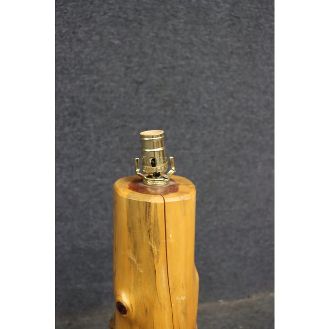 Mid-Century Modern Mid 20th Century Mid Century Modern Organic Driftwood Table Lamp For Sale - Image 3 of 8