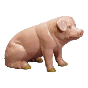 Butchery Window Decoration of a Pig From the 1950s