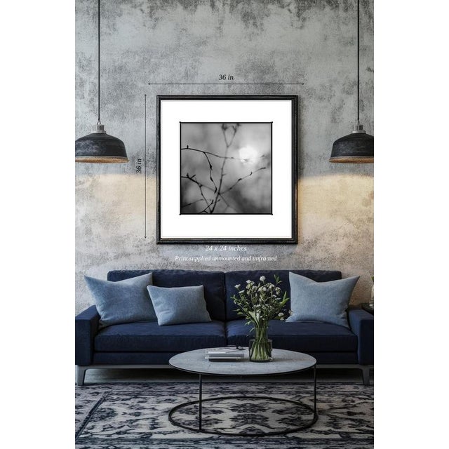 Fine art Giclee prints on Hahnemuhle Photo Rag 308gsm - a 100% cotton, acid-free, mould-made paper. Printed to Fine Art...