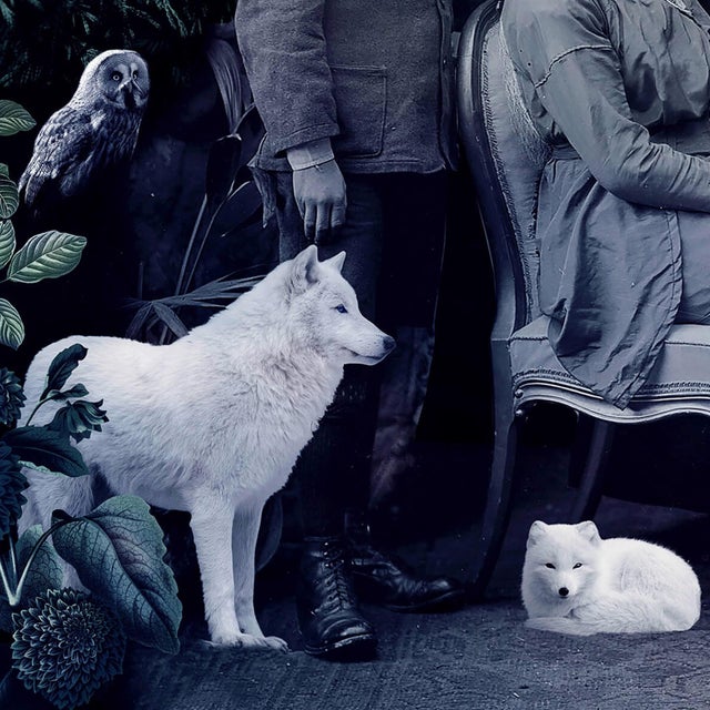 Early 21st Century Never forget the Forest - Dogs by Marcin and Kate Owczarek | Digital Artwork of dogs in vintage attire. For Sale - Image 5 of 5