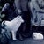 Early 21st Century Never forget the Forest - Dogs by Marcin and Kate Owczarek | Digital Artwork of dogs in vintage attire. For Sale - Image 5 of 5