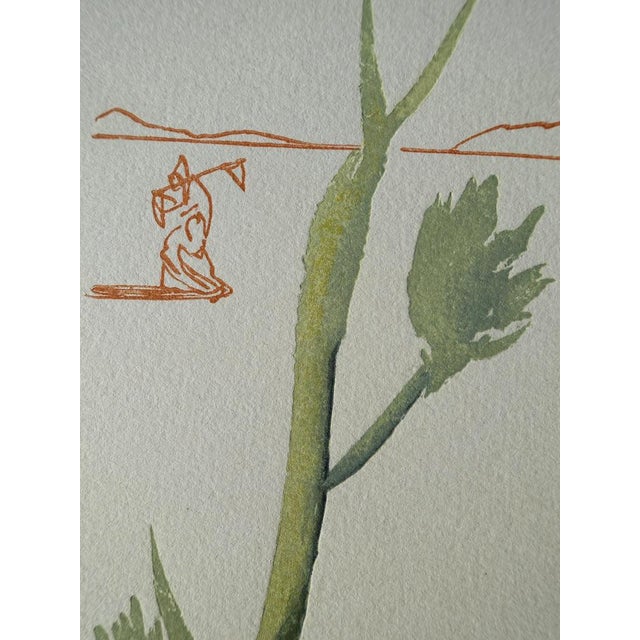 Salvador Dali, La source, Etching For Sale - Image 5 of 7