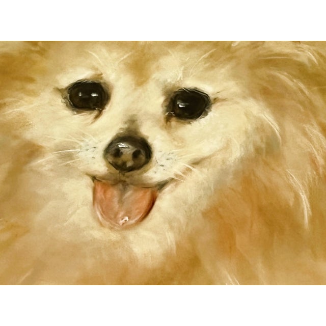 Framed Signed Original Pastel Portrait of a Happy Pomeranian For Sale - Image 4 of 12