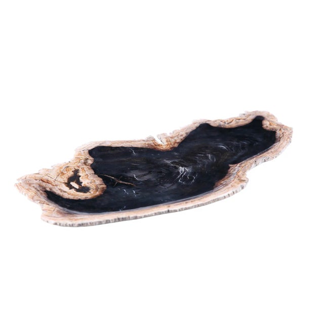 Contemporary Hand Cut & Petrified Wood Board 3 For Sale - Image 3 of 8