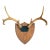 Vintage Stag Deer Antler Taxidermy Trophy Mount Wall Plaque For Sale