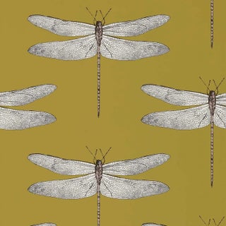 Harlequin Demoiselle Wallpaper in Ochre/Grape - a Sample For Sale