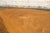 Wood Mid 20th Century Live Edge Coffee Table W/ Butterfly Notch For Sale - Image 7 of 11