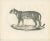 Leopard in Standing Pose, 1836, Lithograph For Sale - Image 6 of 10